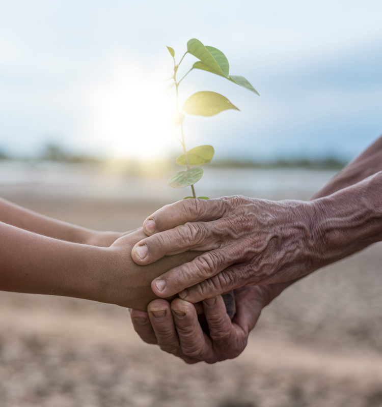 Adaptació i resiliència al Canvi Climàtic