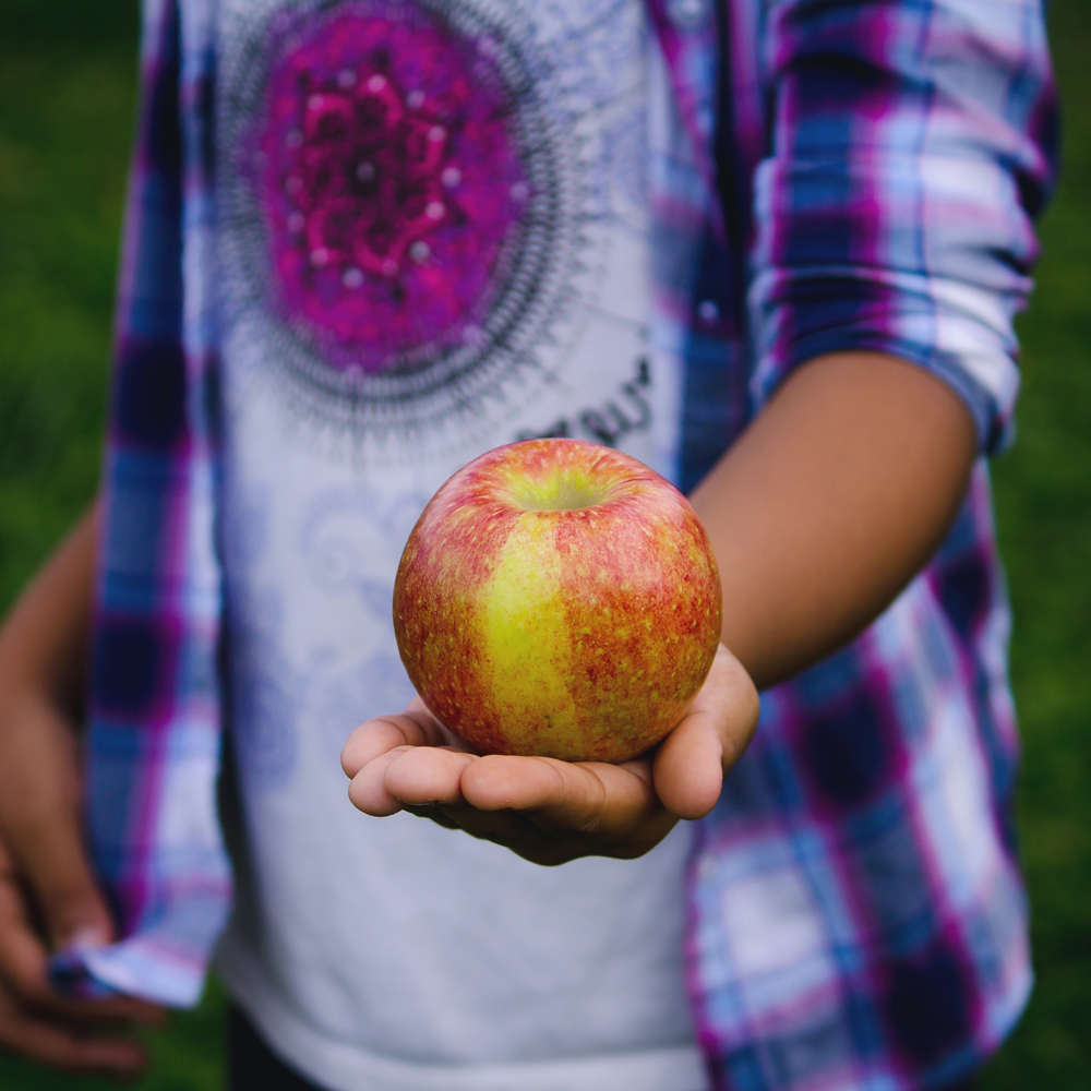 Nascor Training provides 100 workshops on healthy eating and prevention of TCA in schools and senior centers.