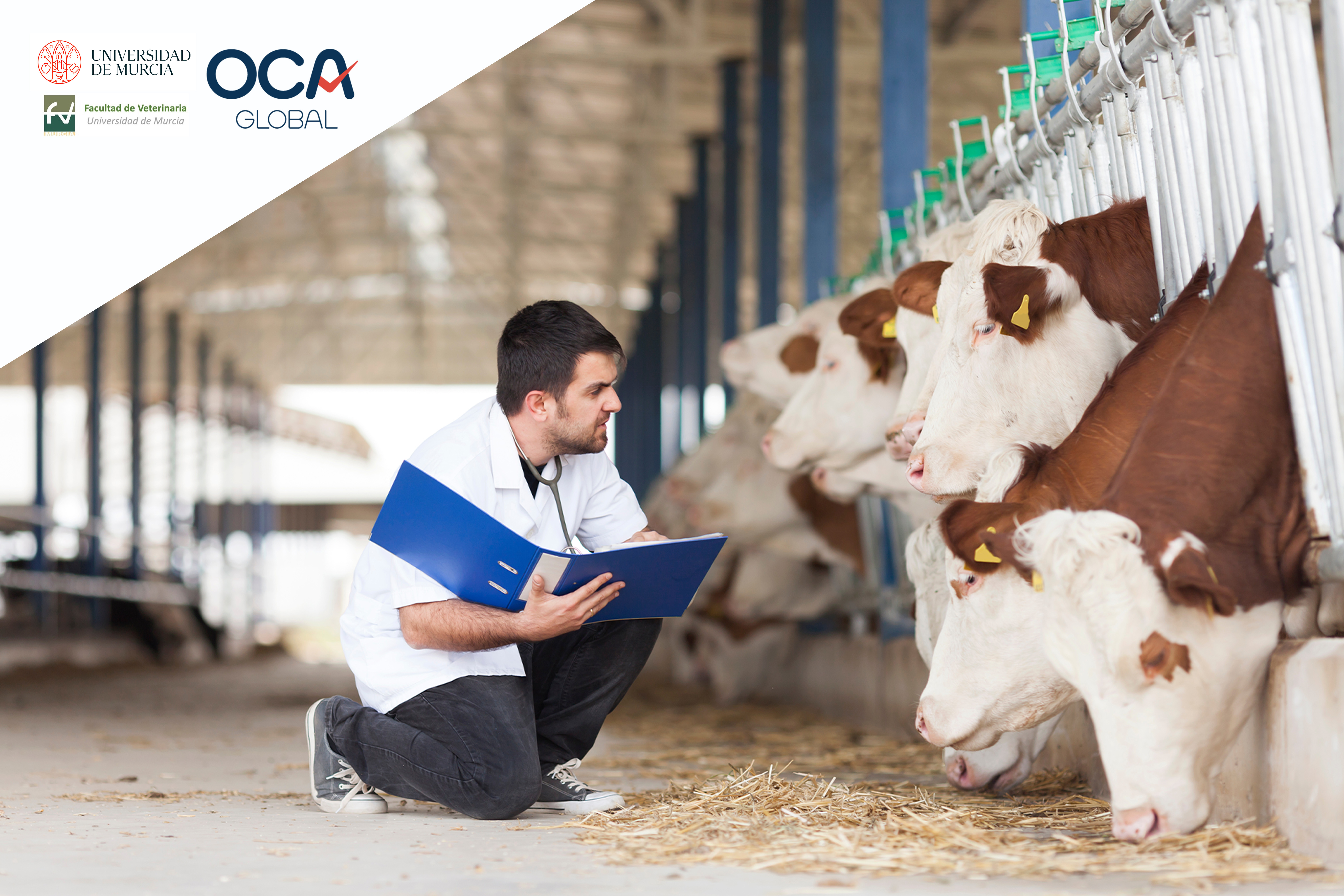 OCA Global brings Animal Welfare certification to future veterinarians